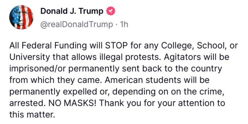 Reprodução - Redes Sociais