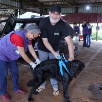 Centro de Controle de Zoonoses descentraliza vacinação antirrábica para atender diferentes regiões de Dourados