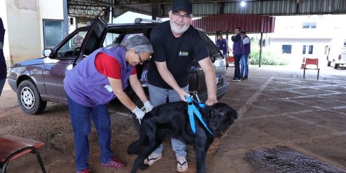 Centro de Controle de Zoonoses descentraliza vacinação antirrábica para atender diferentes regiões de Dourados