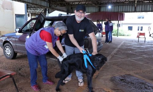 Centro de Controle de Zoonoses descentraliza vacinação antirrábica para atender diferentes regiões de Dourados