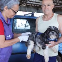 Centro de Controle de Zoonoses leva vacinação antirrábica a dois pontos de Dourados nesta semana