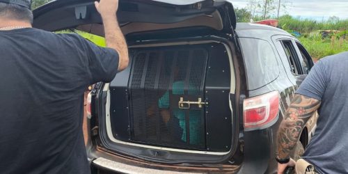 Foto: Sidnei Bronka/Ligado Na Notícia