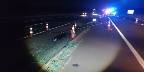 Foto: Sidnei Bronka/Ligado Na Notícia