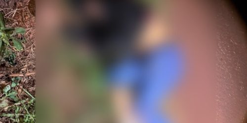 Fotos Ligado Na Redação