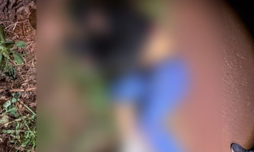 Fotos Ligado Na Redação
